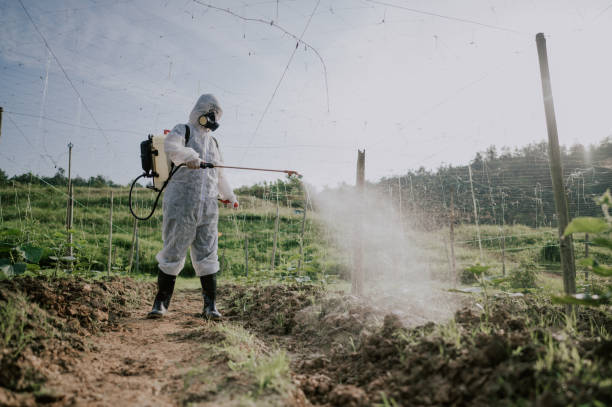 Best Pest Removal Services  in Laurel, VA