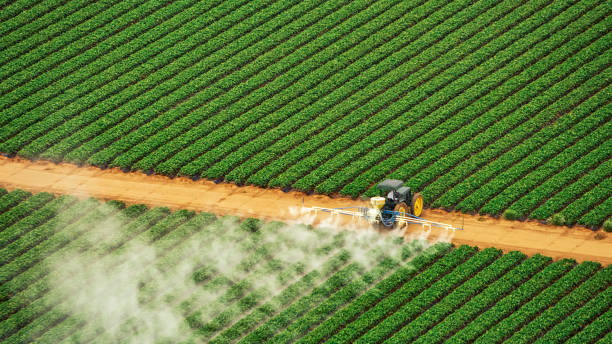 Best Pest Control Cost  in Laurel, VA