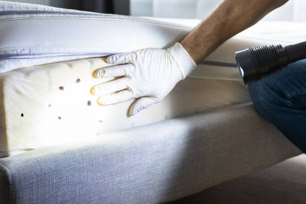 Best Pest Inspection Near Me  in Laurel, VA