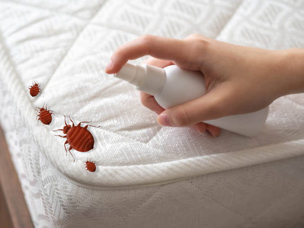 Best Local Pest Control Services  in Laurel, VA