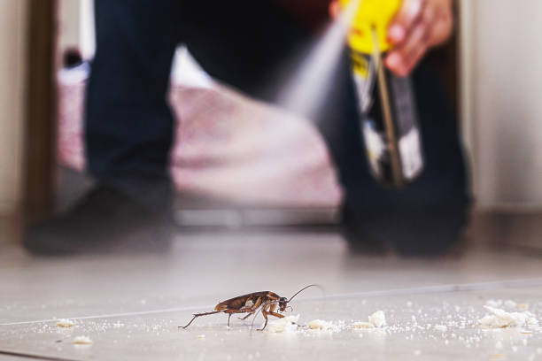 Best Best Pest Control Companies  in Laurel, VA